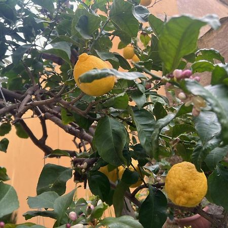 Appartamento Vicino Al Mare Moneglia Exterior foto